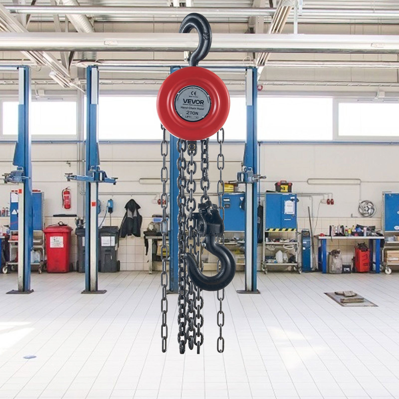 81230829