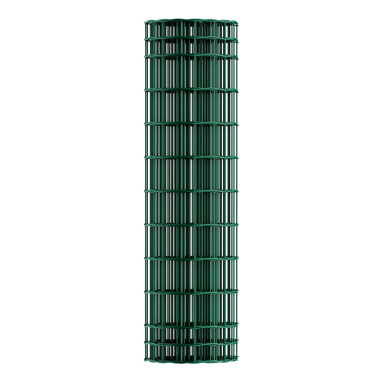 81800058