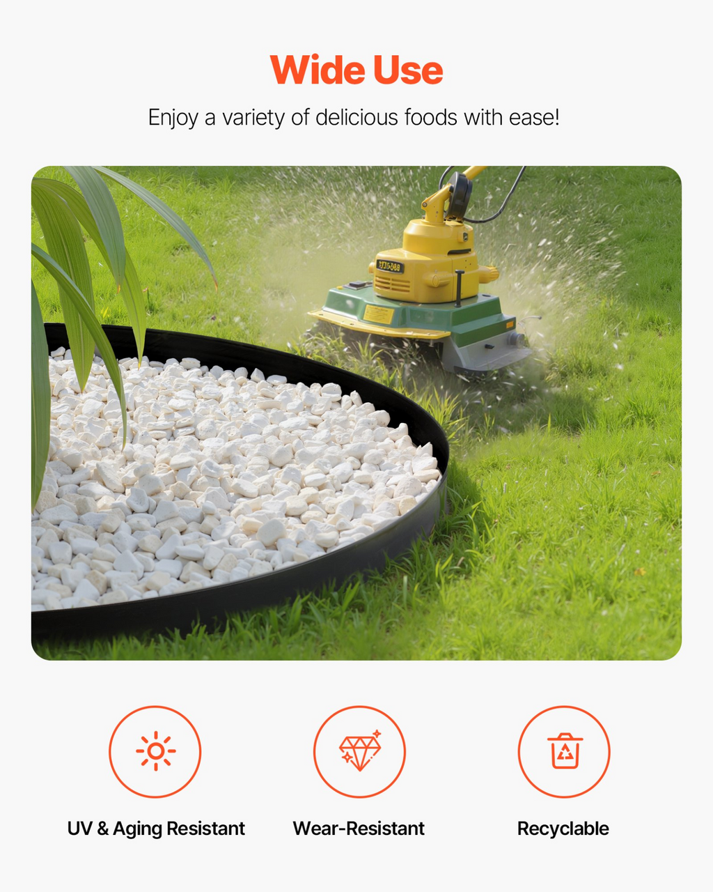 80894987