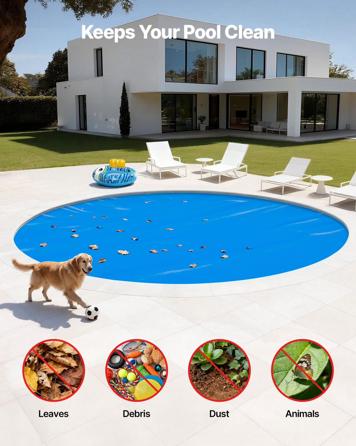 82894081