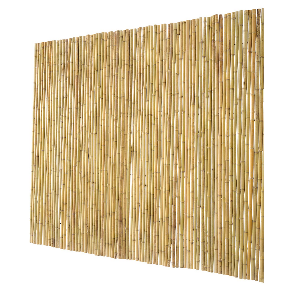 82359903
