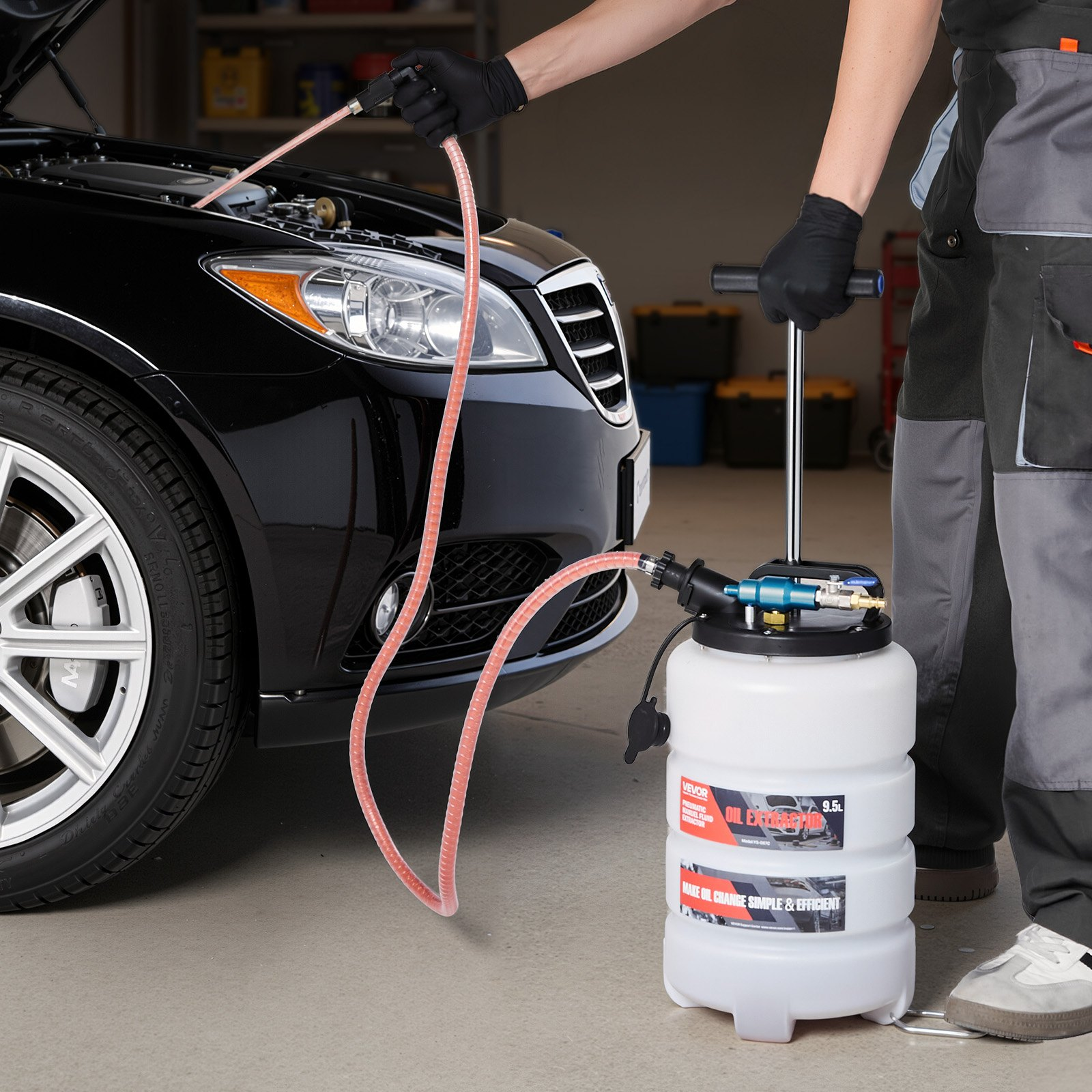81998764