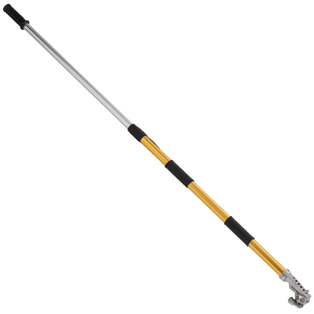 81799618