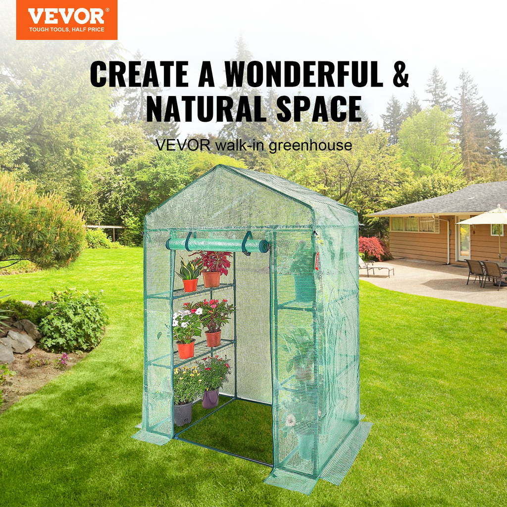 81231365