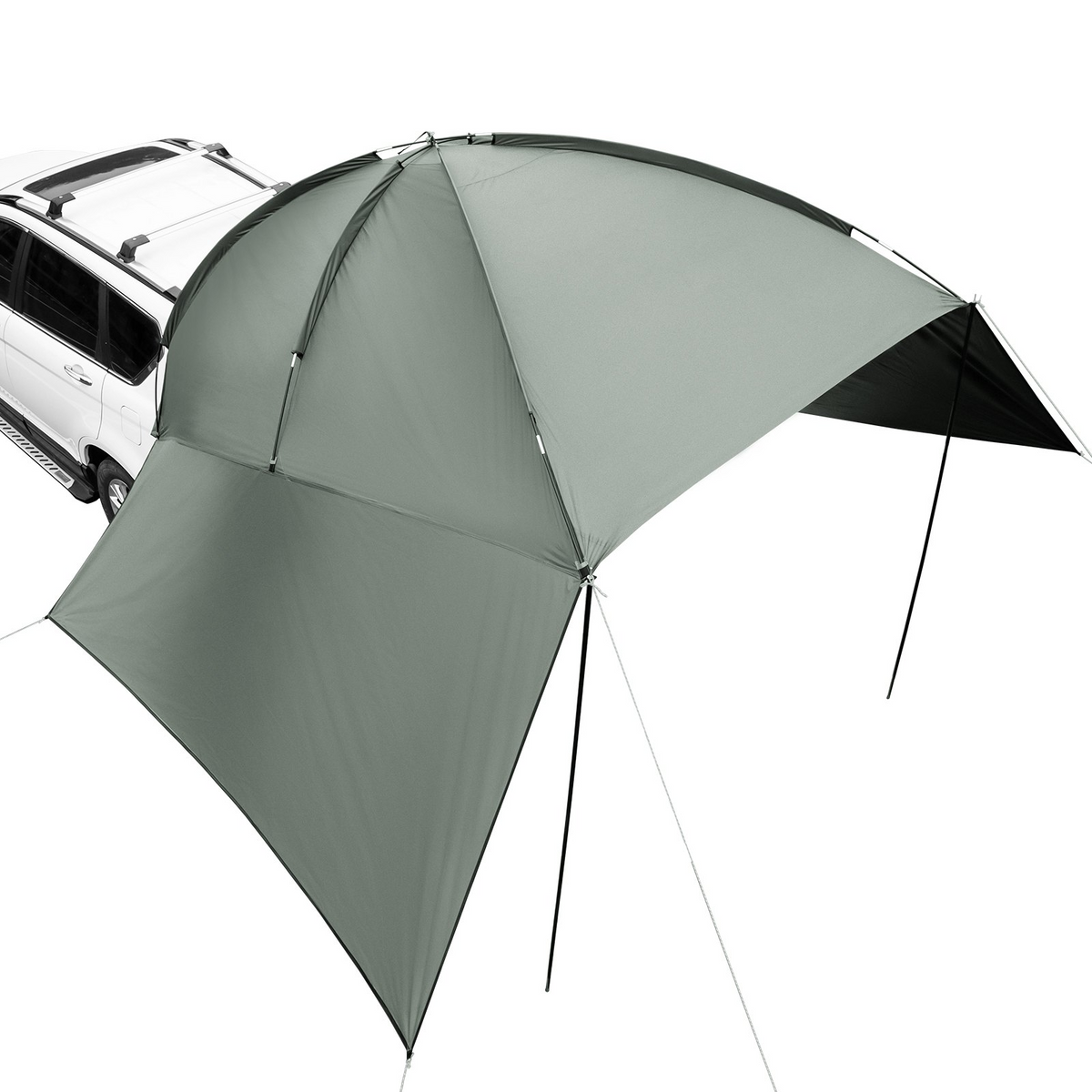 82892562