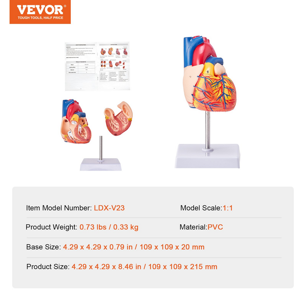 81653975