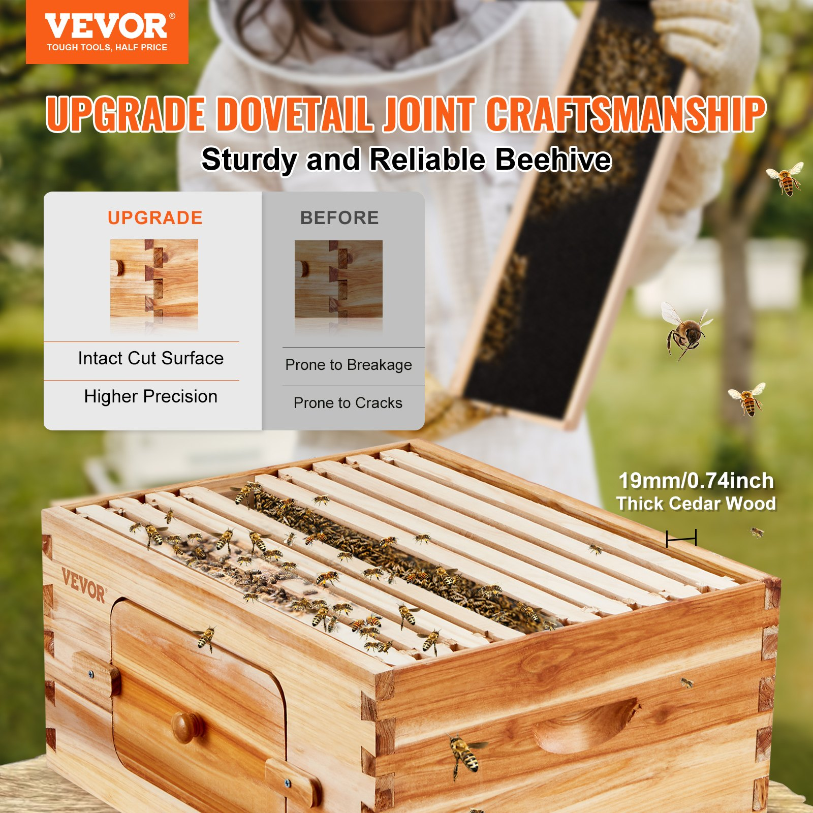 81456083