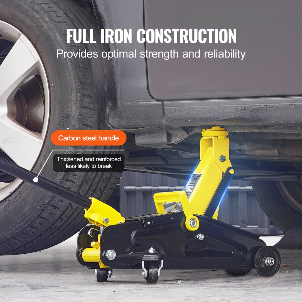 81803082