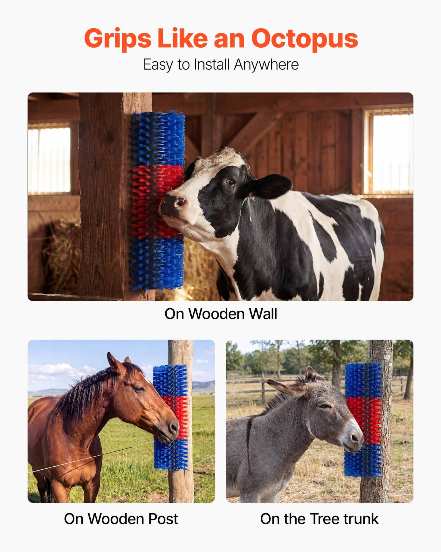 81195732