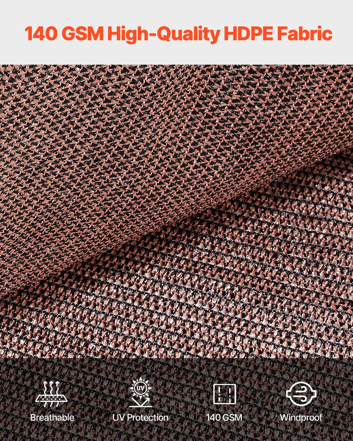81655156
