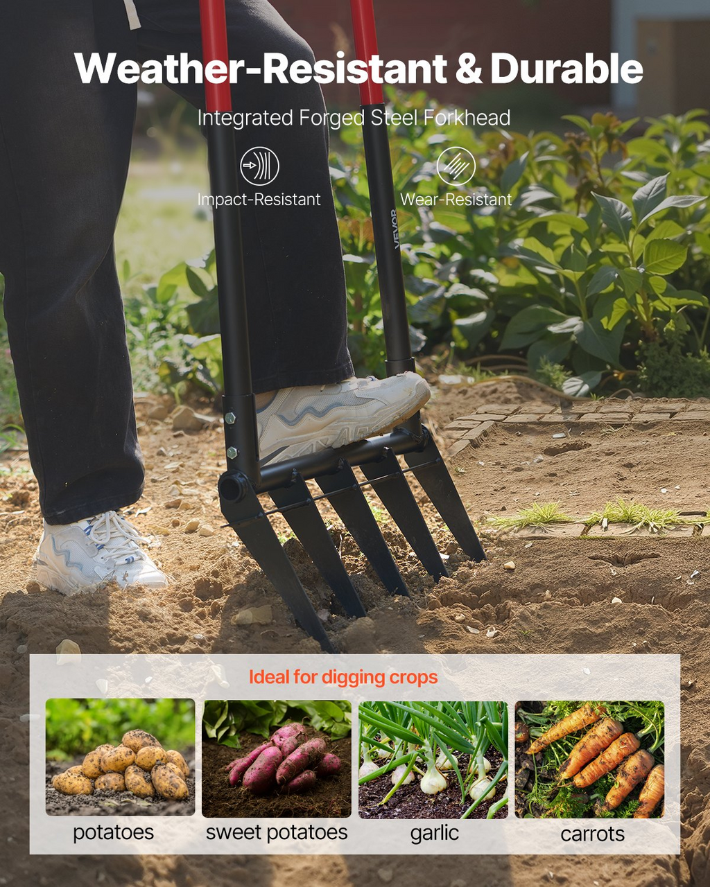 83063902