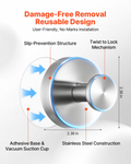 81535591
