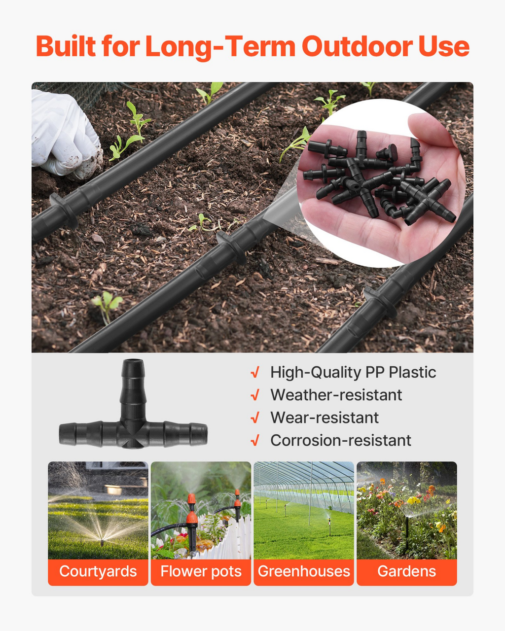81145694