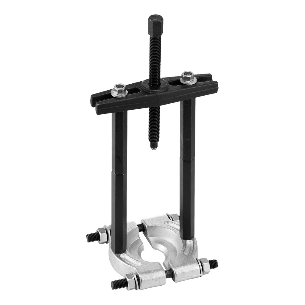 81195611