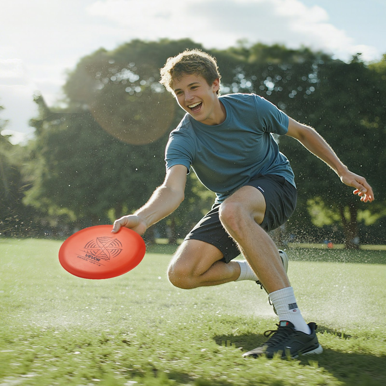 81169206